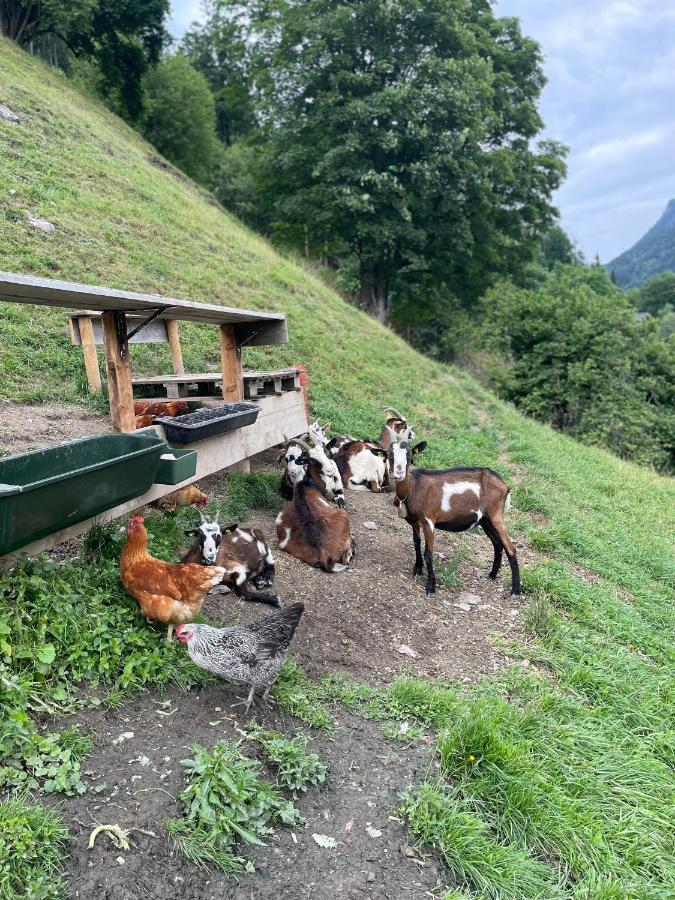 شقة Kitzlochklammblick Hof تاكسنباخ المظهر الخارجي الصورة